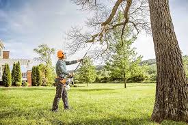 Best Arborist Consultation Services  in Crete, IL