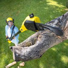 Best Pest Control for Lawns  in Crete, IL