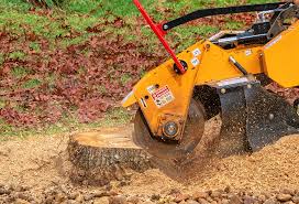 Best Tree Removal  in Crete, IL