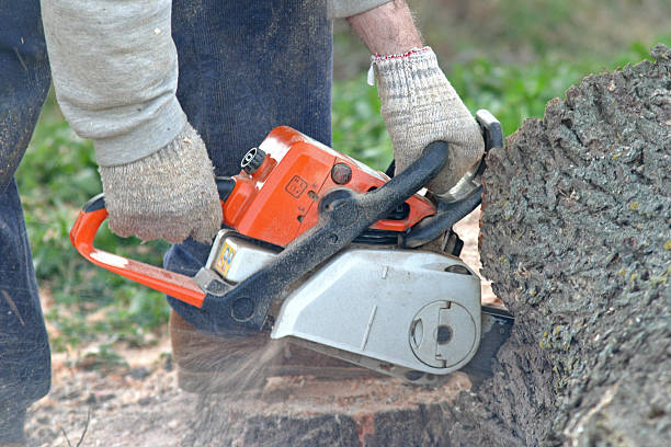 Best Lawn Maintenance Plans  in Crete, IL
